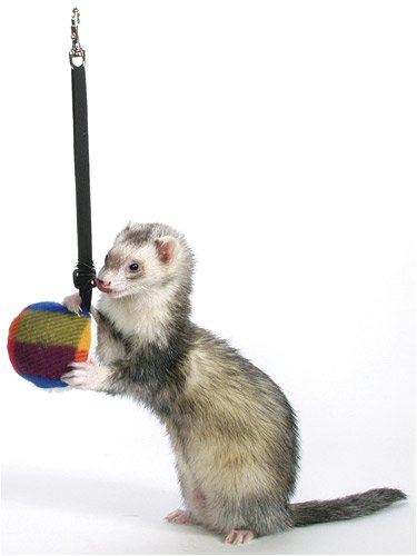 Bungee Toy - 3.5 in.