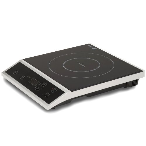 Fagor Countertop Induction Burner