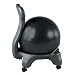 Gaiam Ergonomic Balance Ball Chair - Black