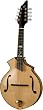 Breedlove Rogue KF Master Class Mandolin, Made in U.S.A.