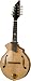 BreedloveRogue KF Master Class Mandolin, Made in U.S.A.