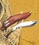 AH3456 - Khukri (Regimental), o'll 16.5" (w/Scabbard)