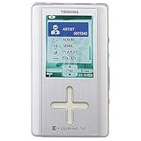40GB MP3 Player- Silver