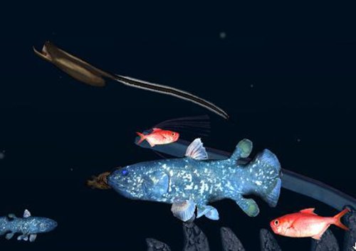 AQUAZONE Open Water 知られざる深海世界