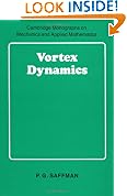 Vortex Dynamics