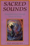 Sacred Sounds: Transformation Through Music and Word (A Llewellyn Practical Guide to Personal Power)
