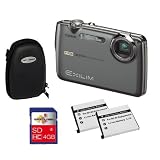 Casio EXILIM EX-FS10 GY High Speed Digitalkamera inkl. 1x 4GB SDHC Klasse 6 Speicherkarte +  2x Akku + Hardschalentasche | Alle Preise inklusive MwSt.