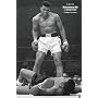 Muhammad Ali Poster ~ Sonny Liston Knockout ~ First Minute , First Round 5/25/1965 ~ Exclusive U.K. Import ~ 24x36"