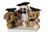 Graduation Dog, Owl & Bear 15cm
