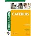 Formation CAFERUIS (Certificat d'aptitude aux fonctions d'encadrement et de responsable d'unit� d'intervention sociale) - Itin�raires pro - Tout-en-un