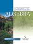Introductory & Intermediate Algebra