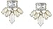 Amazon Collection Milky and Trans Stone Earrings