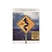 Snakes And Arrows Live [DVD] [2008]