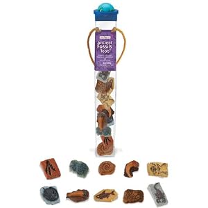 Safari LTD Ancient Fossils Tube