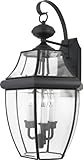 Quoizel NY8318K Newbury 3-Light Outdoor Wall Fixture, Mystic Black