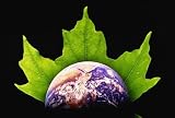 The Heat Over Global Warming