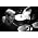 Thumbnail image of Levon Helm