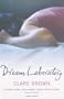 Dream Laboratory