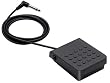 casio keyboard sustain pedal