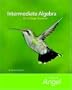 Intermediate Algebra for College Students (The Angel Developmental Algebra Series)