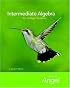 Intermediate Algebra for College Students (The Angel Developmental Algebra Series)