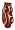 Florida State Seminoles