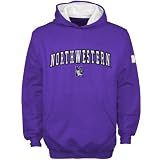 Northwestern Wildcats Youth Purple Team Color Hoody Sweatshirt