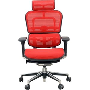 【クリックで詳細表示】【新型】エルゴヒューマン EH-HAM ハイタイプ ハイブリット機能 F-RD (KMD-32)