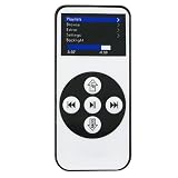 CAR FM Transmitter/Charger/DOCK w/REMOTE for iPhone 3G