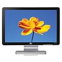 HP W2007 20-inch Widescreen Flat Panel LCD Monitor
