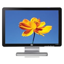 HP W2007 20-inch Widescreen Flat Panel LCD Monitor