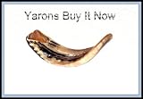 Shofars