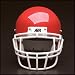 Sporting Goods : TeamExpress - Schutt Youth EGOP II Flex Facemask