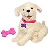 Furreal Friends - 292031010 - Poup�e et Mini-Poup�e - Cookie mon Chien Fidele