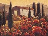 Produkt-Bild: Eurographics MAC1024 Mauro Cellini, L&acute;Allegria Italiana 60 x 80 cm, Hochwertiger Kunstdruck - Italien - Toscana