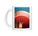 Bright orange flame inflating red hot air balloon in morning sunlight, Devon, UK Photo Mugs