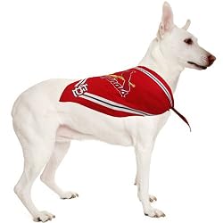 St. Louis Cardinals - Dog Bandana - Small