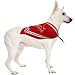 St. Louis Cardinals - Dog Bandana - Small