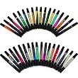 Prismacolor Landscape Marker Kit 36 Color Set Double End With A Free Carrying Case