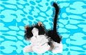 Webkinz Black and White Cat