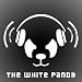 The White Panda - Till The Bromance Ends (Britney Spears Till The Worlds Ends Mashup w/ Avicii)
