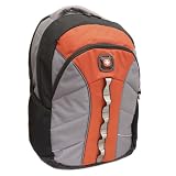 Wenger SwissGear THE SUN 16-inch Laptop Computer Backpack - Rust
