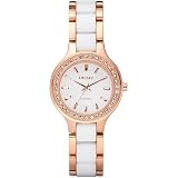 DKNY Women's Watch NY8141
