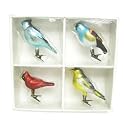 Smith & Hawken® Bird Ornament 4-pk.