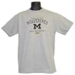 Michigan Wolverines Old Time Hockey Gray Arch Tee