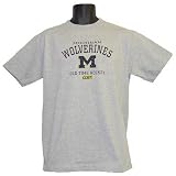 Michigan Wolverines Old Time Hockey Gray Arch Tee