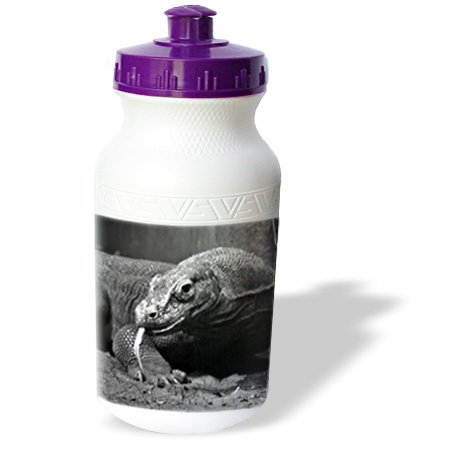 wb_178499_1 Susans Zoo Crew Animals - komodo dragon black and white tongue out left - Water Bottles