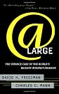 At Large: The Strange Case of the World's Biggest Internet Invasion