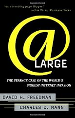 At Large: The Strange Case of the World's Biggest Internet Invasion
