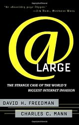At Large: The Strange Case of the World's Biggest Internet Invasion